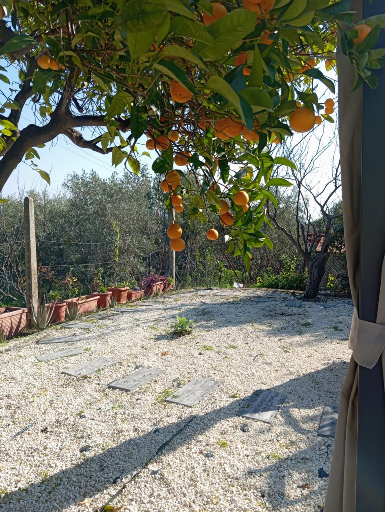 Ai Tre Desideri La Casita Vila Aci Castello Exterior foto